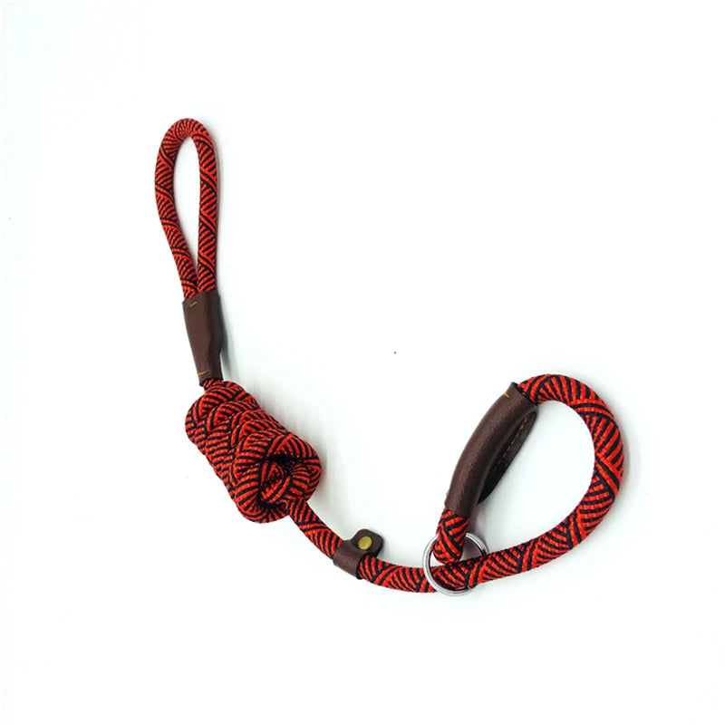 Durable Slip Rope Dog Leash Collar 2 in 1 Adjustable Loop Collar Comfortable Small Meidum Large Pet Harness Leash