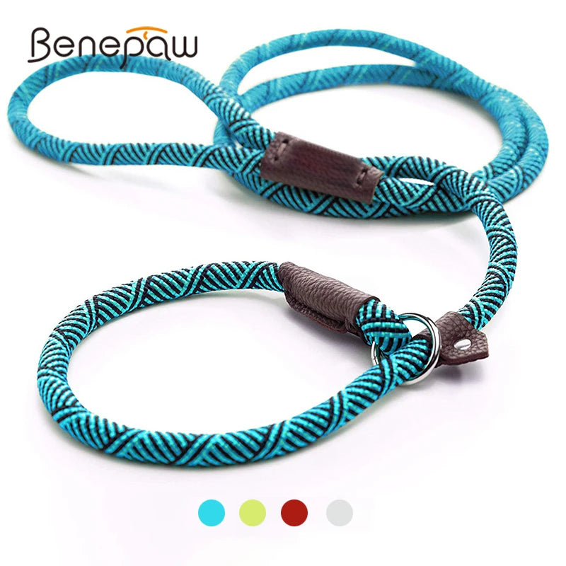 Durable Slip Rope Dog Leash Collar 2 in 1 Adjustable Loop Collar Comfortable Small Meidum Large Pet Harness Leash