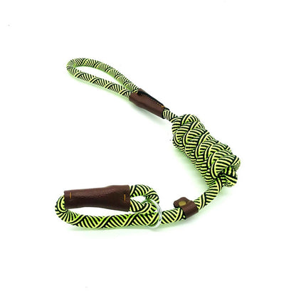 Durable Slip Rope Dog Leash Collar 2 in 1 Adjustable Loop Collar Comfortable Small Meidum Large Pet Harness Leash