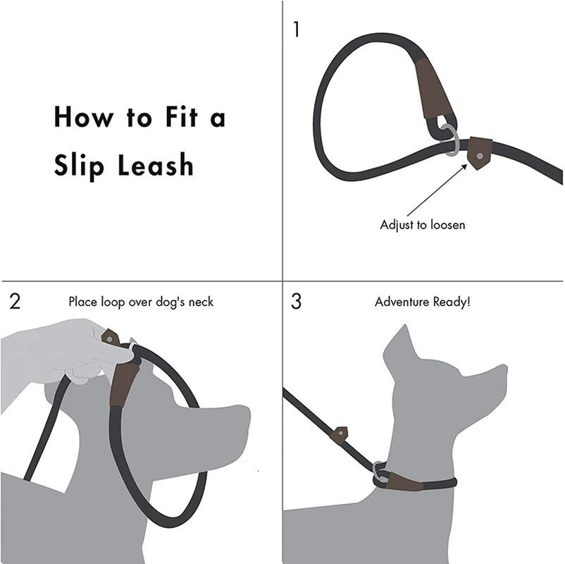 Durable Slip Rope Dog Leash Collar 2 in 1 Adjustable Loop Collar Comfortable Small Meidum Large Pet Harness Leash