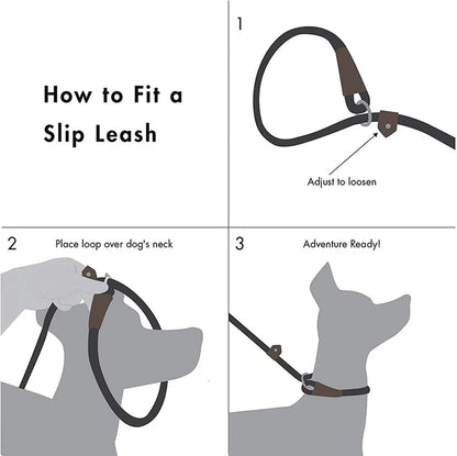 Durable Slip Rope Dog Leash Collar 2 in 1 Adjustable Loop Collar Comfortable Small Meidum Large Pet Harness Leash