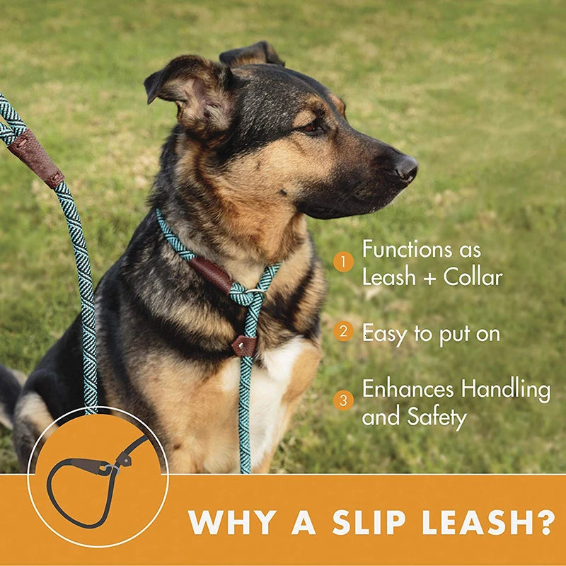 Durable Slip Rope Dog Leash Collar 2 in 1 Adjustable Loop Collar Comfortable Small Meidum Large Pet Harness Leash