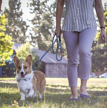 Durable Slip Rope Dog Leash Collar 2 in 1 Adjustable Loop Collar Comfortable Small Meidum Large Pet Harness Leash